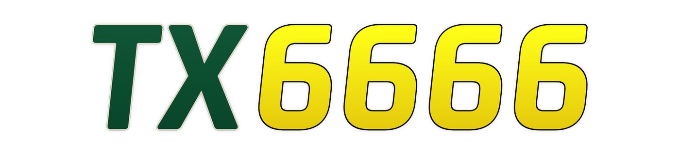 tx6666